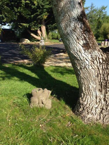 Bed & Breakfast Le Domaine De Saint-thomin