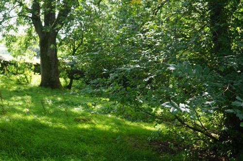 Elishaw Farm Holiday Cottages