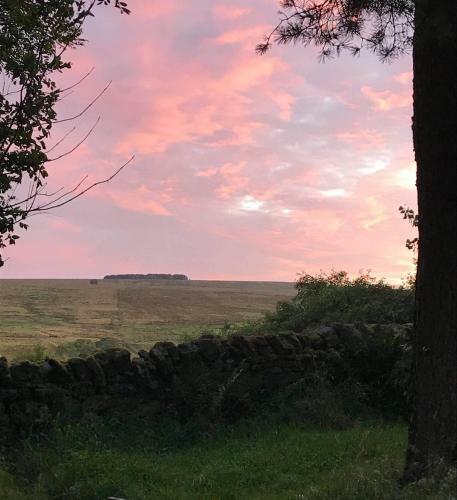 Elishaw Farm Holiday Cottages