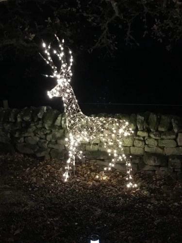 Elishaw Farm Holiday Cottages
