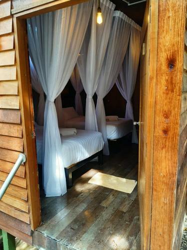 Lodge Utan Teluk Nipah