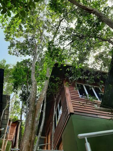 Lodge Utan Teluk Nipah