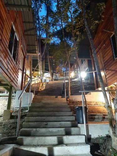 Lodge Utan Teluk Nipah