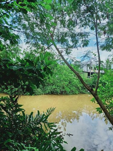 Villa Home By The Creek