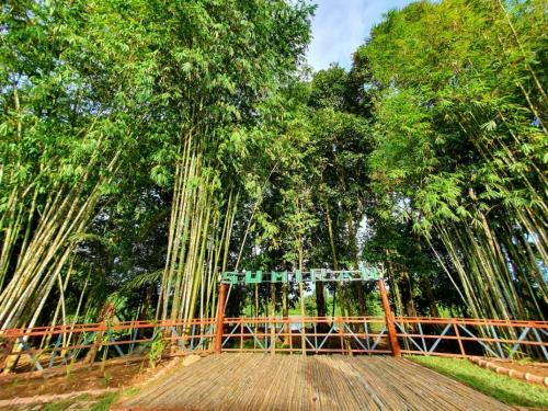 Glamping Sumiran Eco Park & Resort