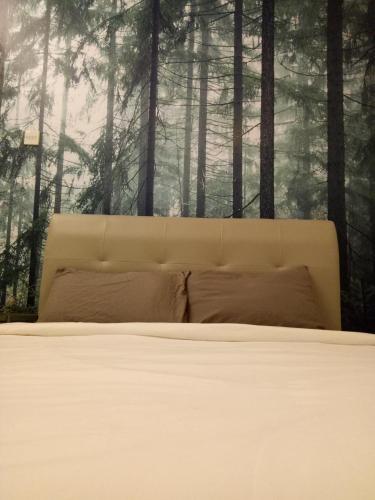 Apartamento Nature @ Forest Cameron 15