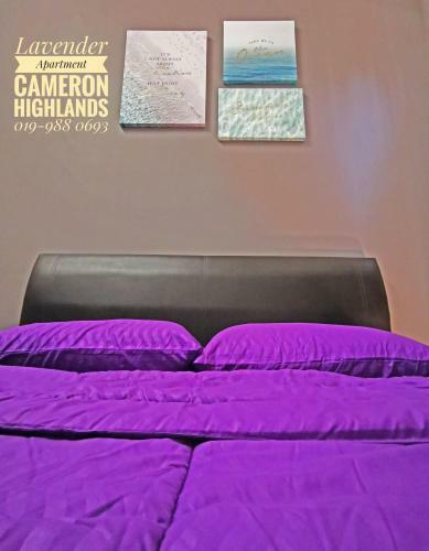 Lavender Apartment 3br Golden Hills Cameron Highlands