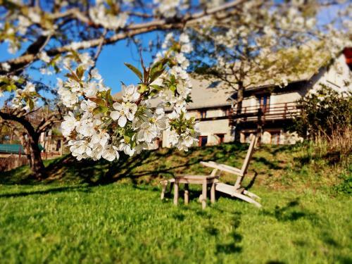 Hostal Chambre D'h�tes La Grange Des Ecrins