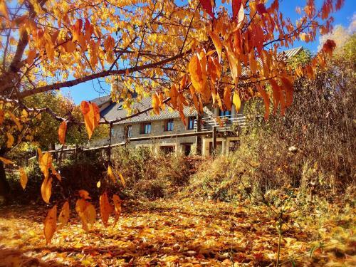 Hostal Chambre D'h�tes La Grange Des Ecrins