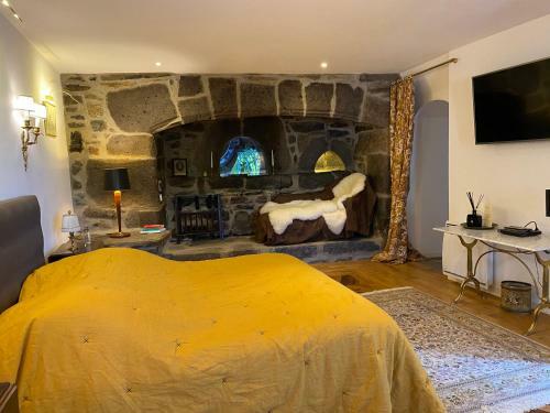 Bed & Breakfast Ch�teau Du Puech