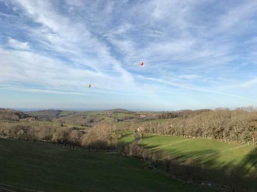 Bed & Breakfast Ch�teau Du Puech