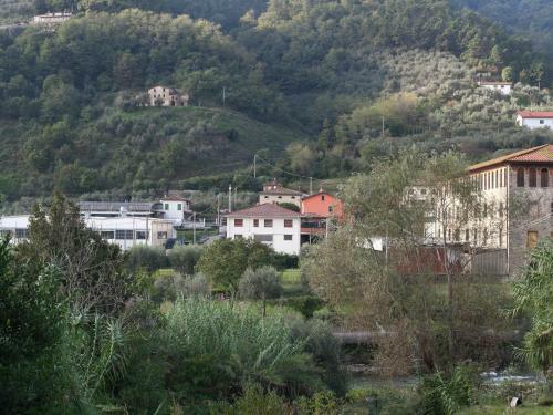 Valleriana