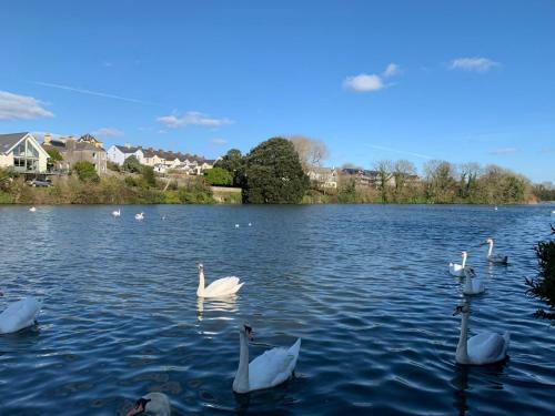 Apartamento Mill Pond View