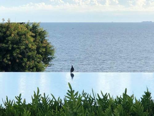 Apartamento Aeras - The Ultimate Beachfront Experience