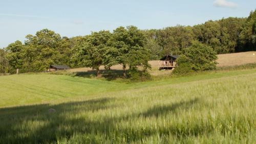 Brocklands Farm Glamping