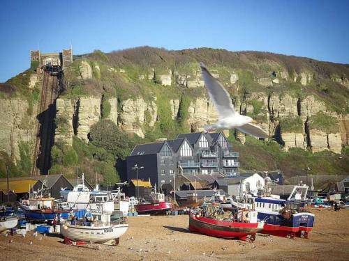 Woodpeckers Cottage B&B