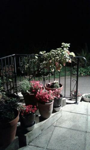 Woodpeckers Cottage B&B