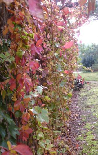 Domaine De Troch�rou