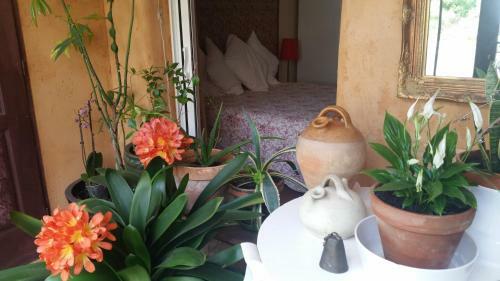 Aux 1000 D�lices