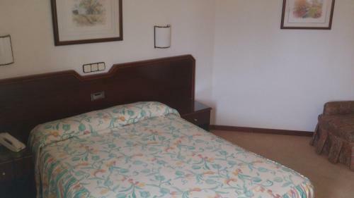 Hotel Palmero