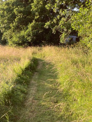 Tin And Canvas Glamping Pickering, Canvas Capers Bell Tent