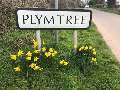 Delightful Detached Cottage In Village Centre