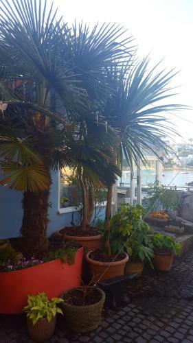 Apartamento Polmarine