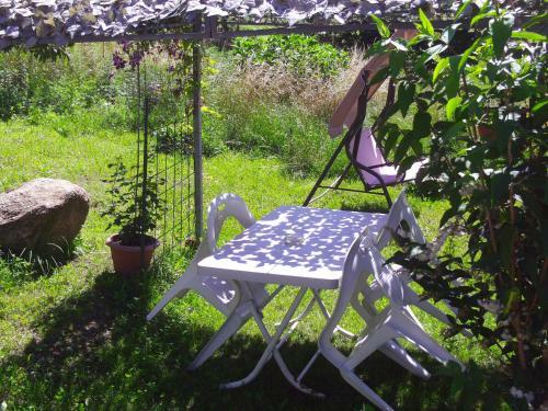 Bed & Breakfast Le Cantine Del Vecchio Borgo