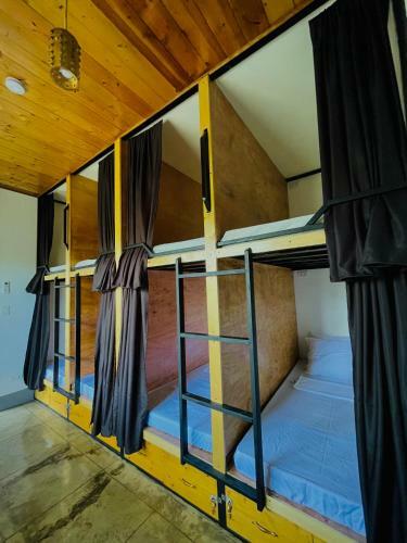 Momo Hostel