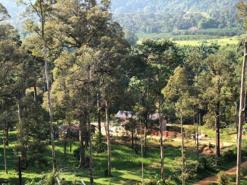 Posada Mydusun Chalet At Air Kuning Taiping