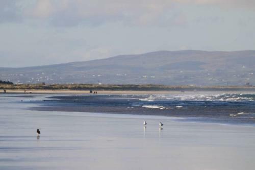 Fisherman's Lodge Portstewart