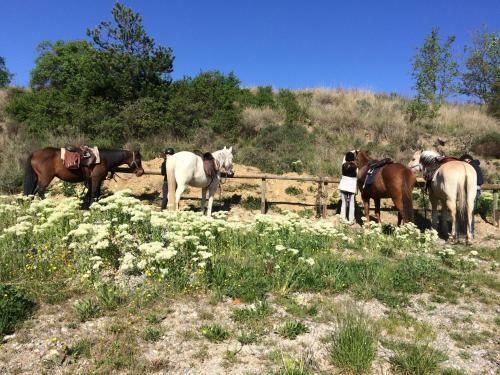 Bed & Breakfast Les G�tes D'eliane