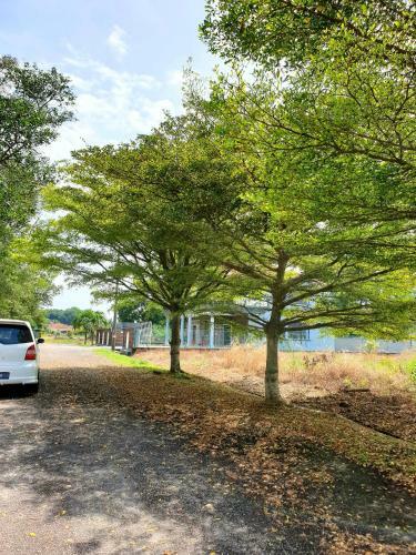 Seaview Bungalow