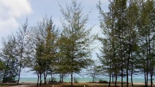 Paka Tamim Seaview Hotel