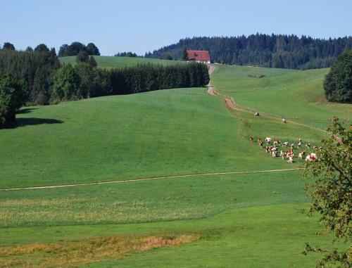 Apartamento Au Beau Paysage
