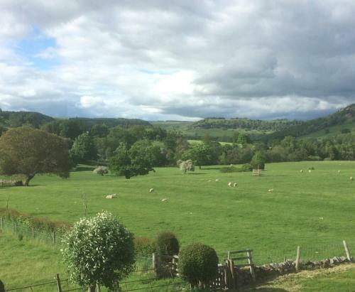Bed & Breakfast Ellerton Lodge
