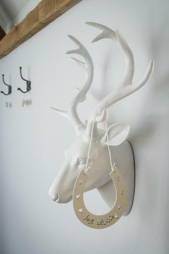 Shellbraes Studio