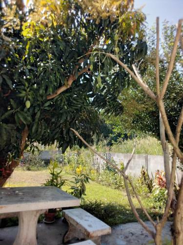 ????????????? ???????? Ban Kererak Homestay