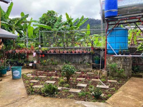 Dagdag Village Homestay - Sagada