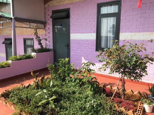 Hostal Ngoc Lan Violet Homestay & Coffee