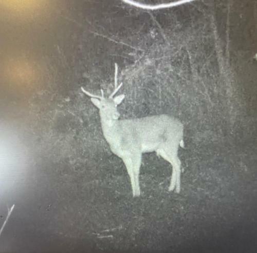 Apartamento Bluebells