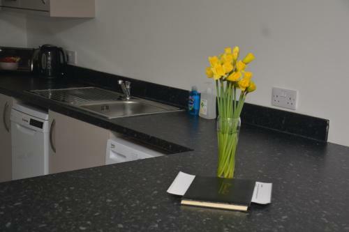 Apartment 3 Biddicks Court