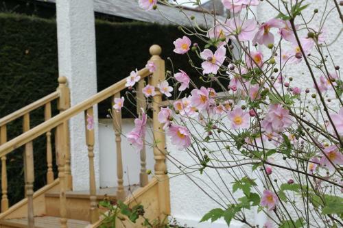 Edens Horizon Cottage Annexe