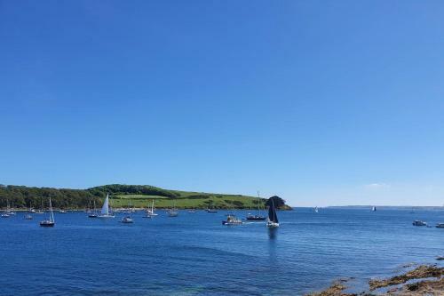 Rosemullion