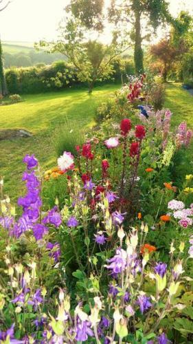 Bed & Breakfast Horsna Parc Retreat