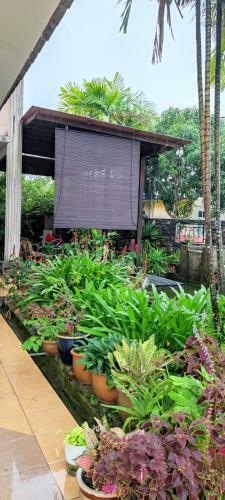 Apartamento Hawwa Sara Homestay
