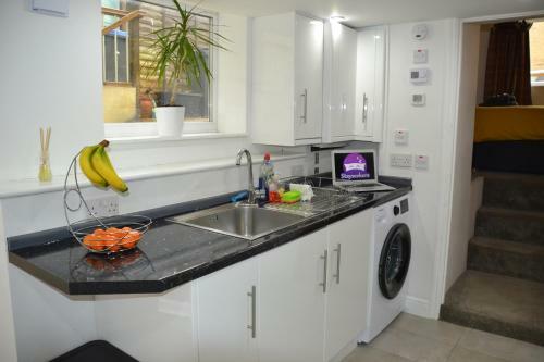 Willow Tree Apartment