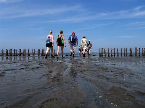Hotel Waddenweelde