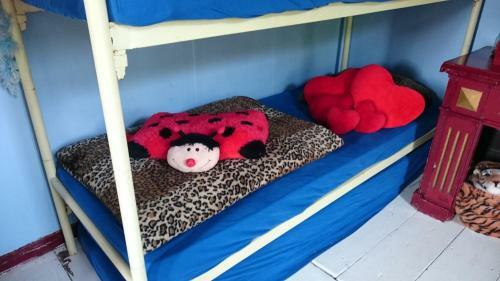 Bed & Breakfast Koningin Van Pieterburen