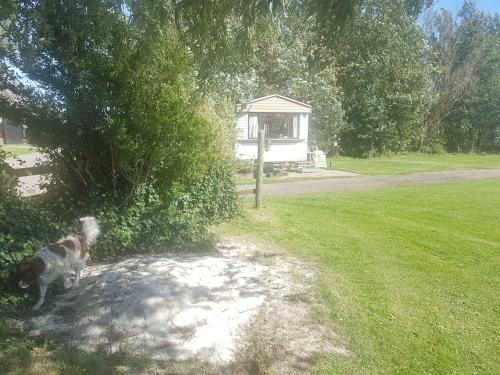 Camping Sotterum
